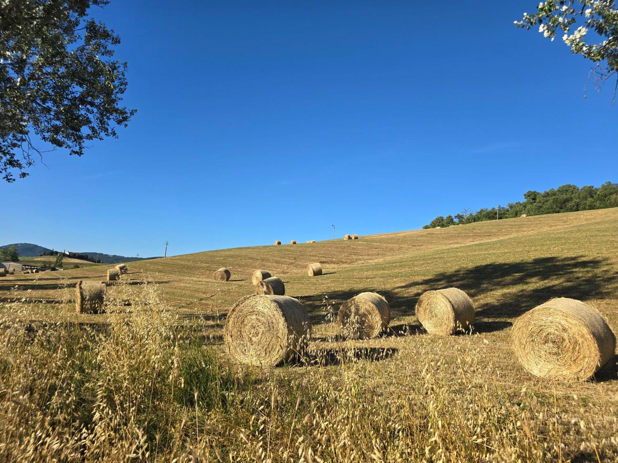 Finestra Della Val D'Orcia Appartement Contignano Buitenkant foto